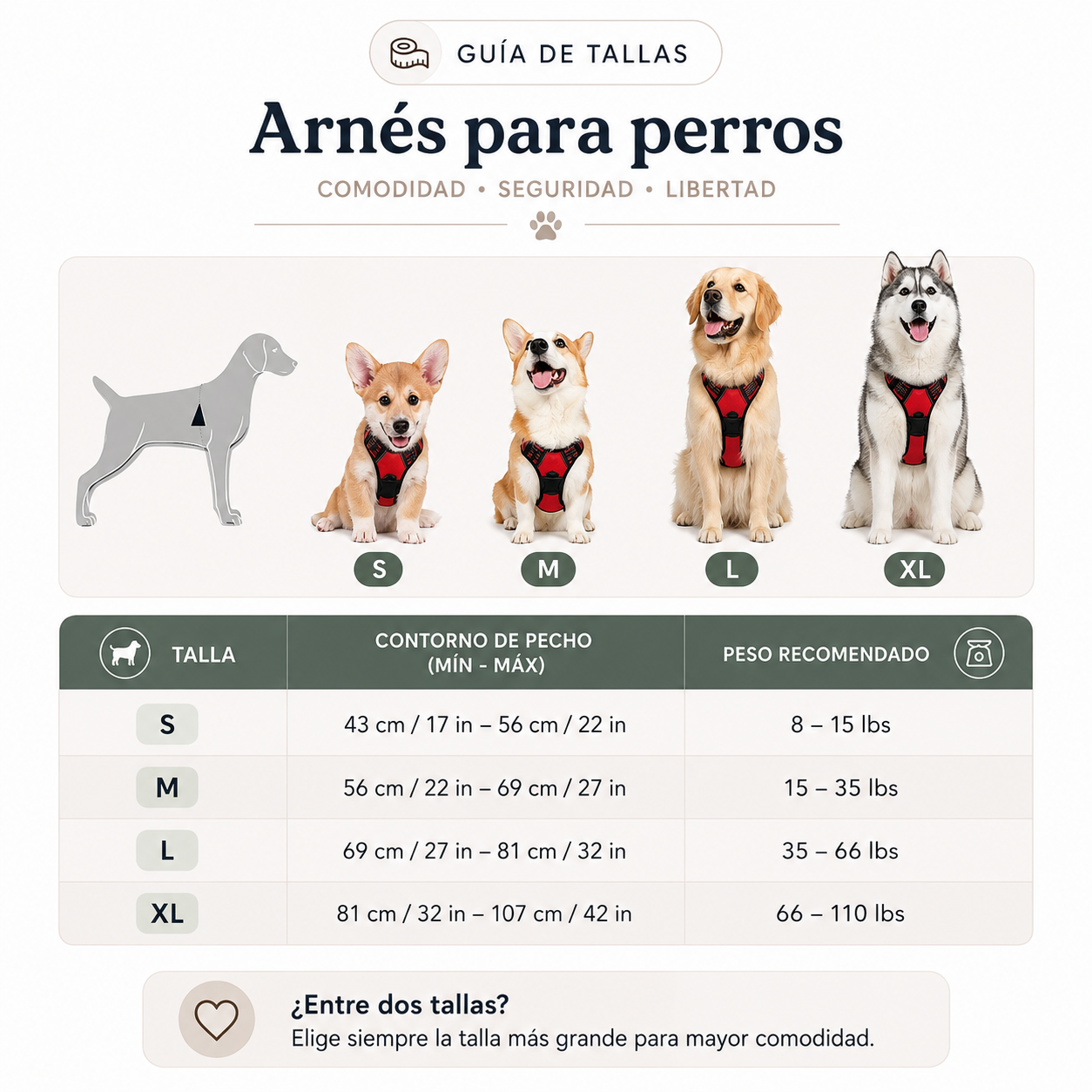 VAIX™ Arnés NOVA